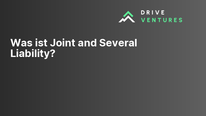 Was ist Joint and Several Liability?